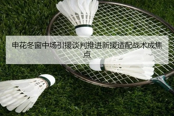 申花冬窗中场引援谈判推进新援适配战术成焦点 - AYXSPORTS