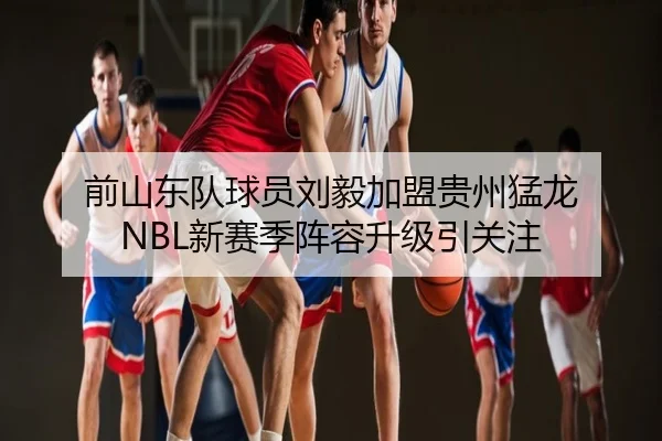 前山东队球员刘毅加盟贵州猛龙 NBL新赛季阵容升级引关注 - AYXSPORTS